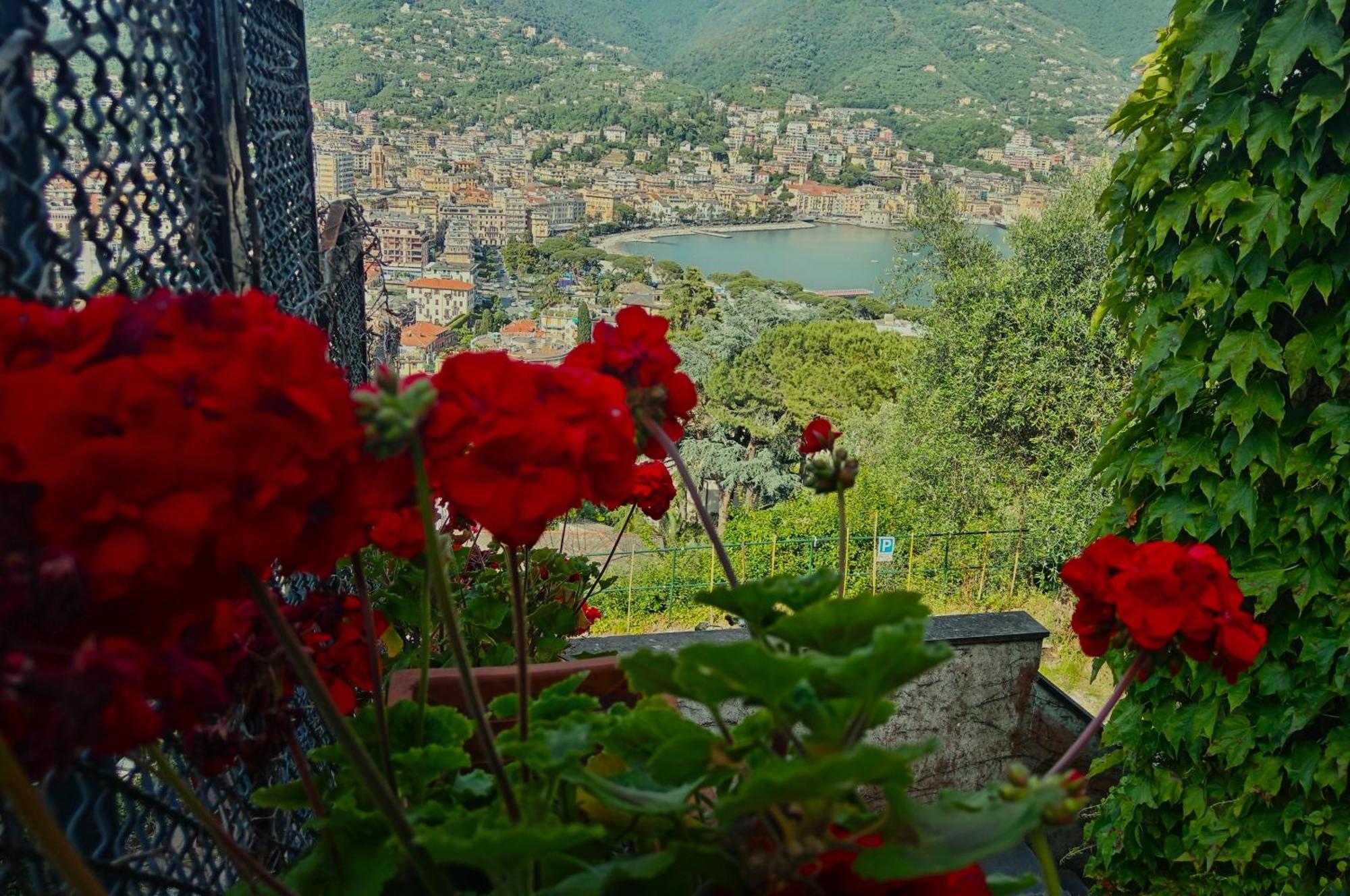 Sunrise Villa Rapallo Kültér fotó